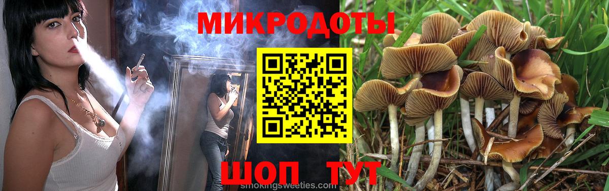 Калининград  Галлюциногенные грибы Psilocybine cubensis  Вход с VPN 